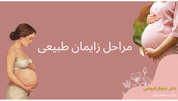مراحل زایمان طبیعی