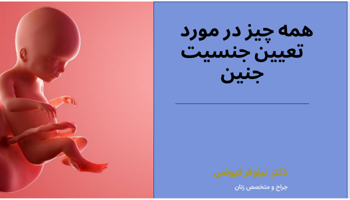 همه چیز در مورد
تعیین جنسیت جنین