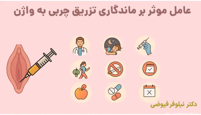 عامل موثر بر ماندگاری تزریق چربی به واژن